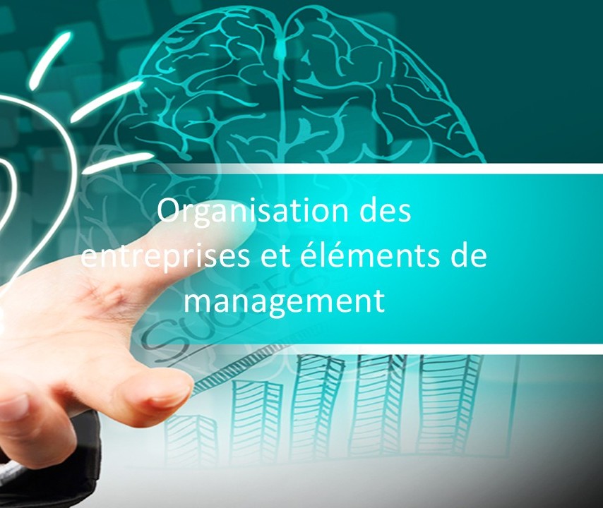 2025-2026 BRH15-3A - Entreprises : organisation et management