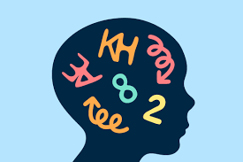 2025-2026 OR 1.1 - Psychopédagogie adaptée aux élèves de l'ens. spécialisé